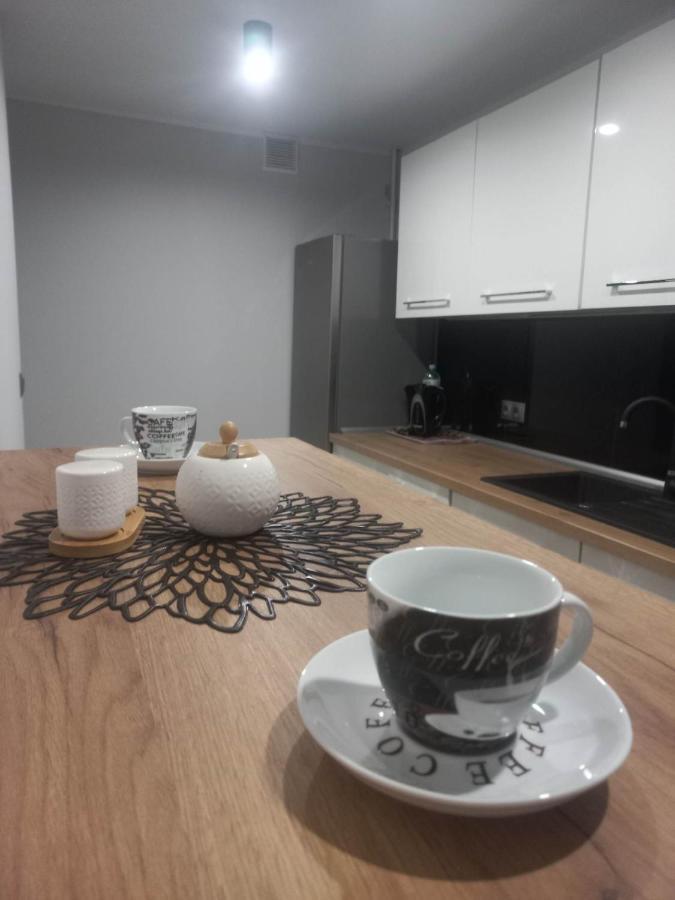 Apartament W Centrum Raciborza מראה חיצוני תמונה